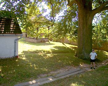 16.8.2003 10:39